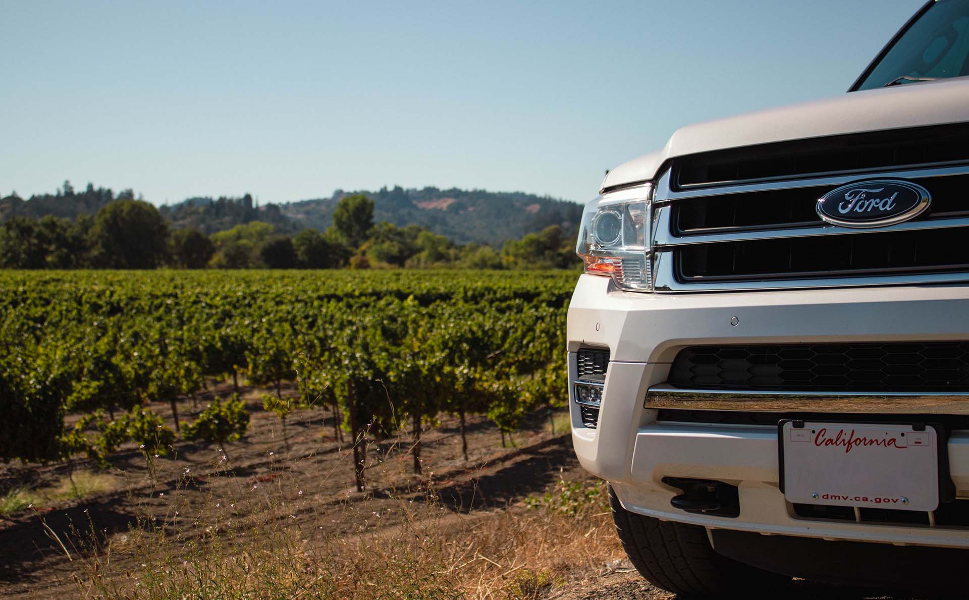 vineyard tours sonoma