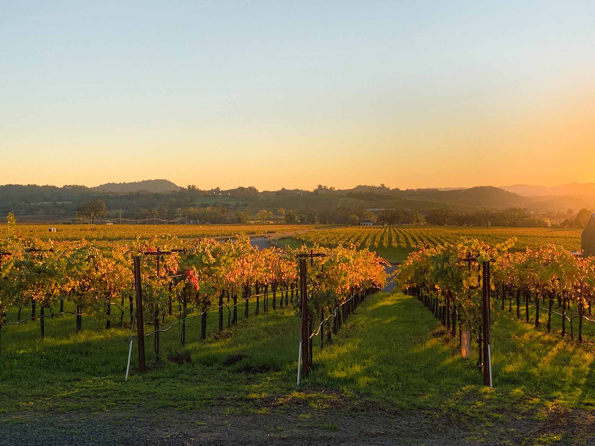 vineyard tours sonoma